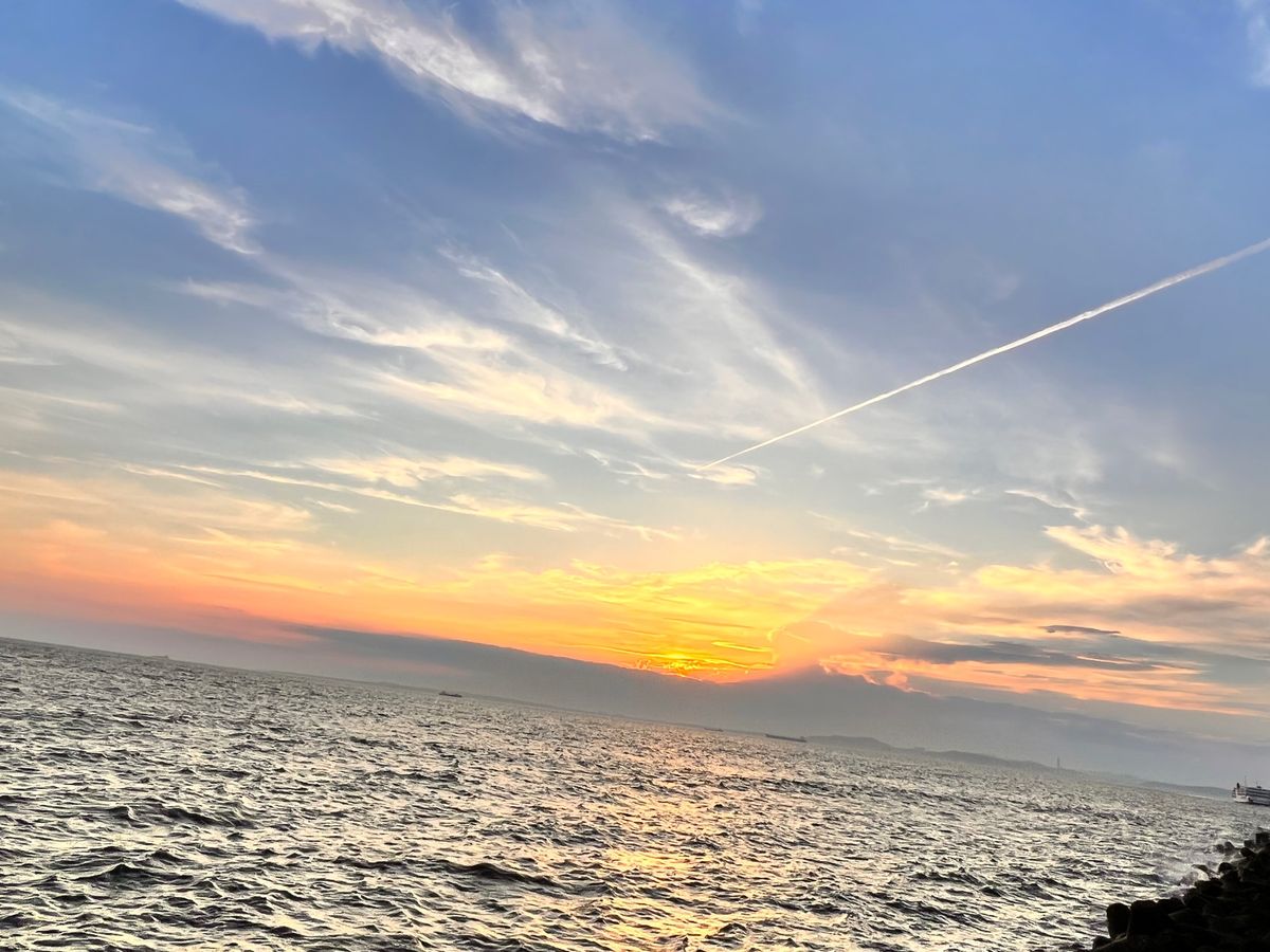 黄金アジが有名なこの辺り。間違いなく、今までで食べたアジフライでNo. 1...