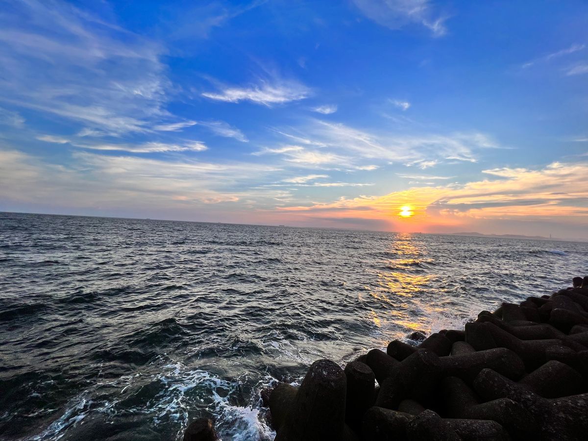 黄金アジが有名なこの辺り。間違いなく、今までで食べたアジフライでNo. 1...