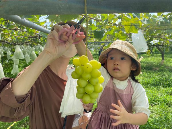 日本・長野県「軽井沢旅行」の写真
