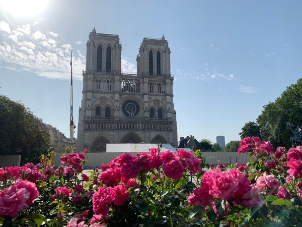 フランス・パリ「Paris」の写真：ノートルダム大聖堂は工事中でした👷‍♀️...
