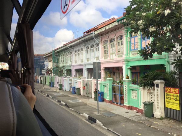 シンガポール・シンガポール「Singapore」の写真：「カトン地区」のプラナカン建築
ポップで...