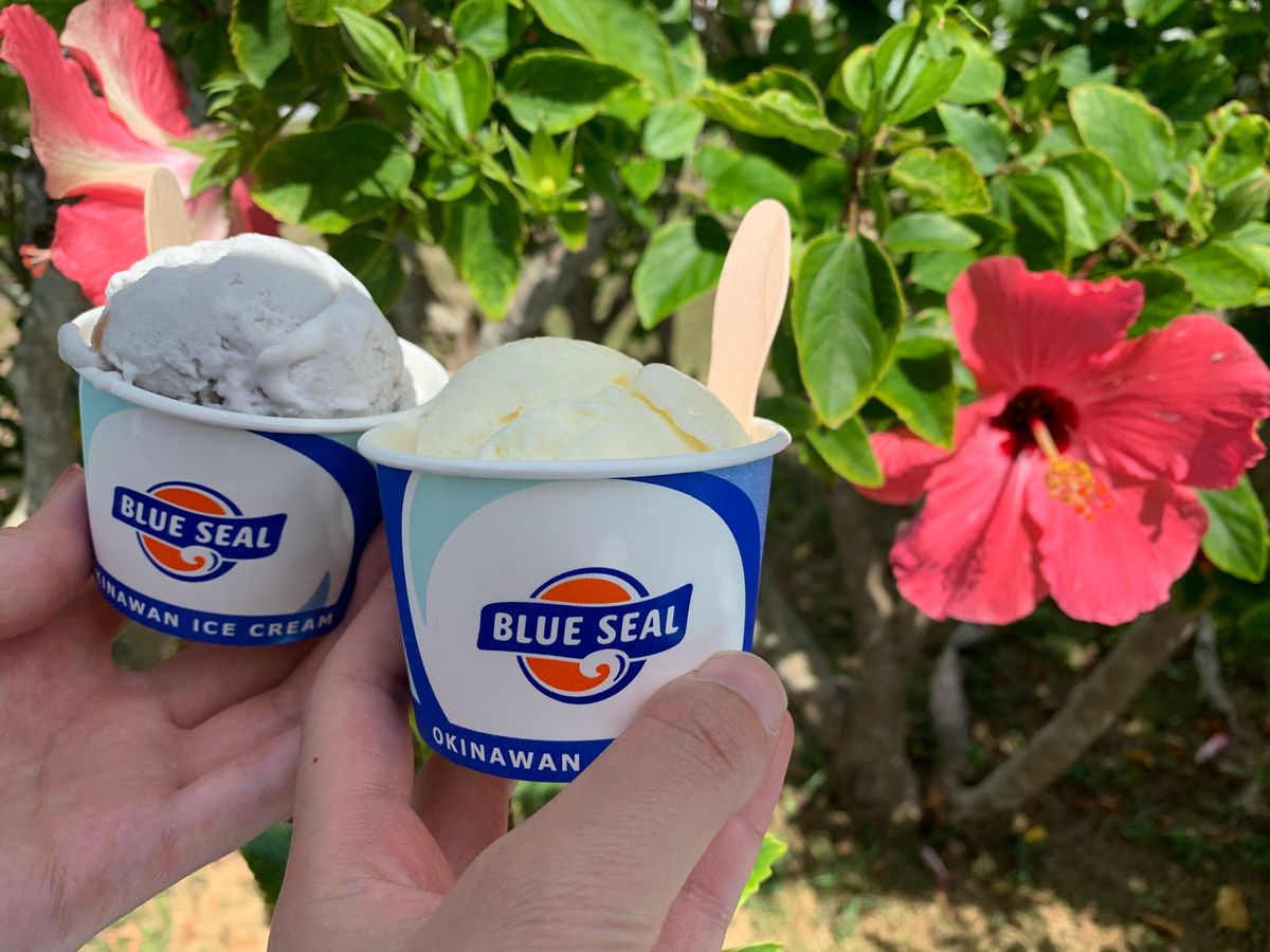 この旅でお世話になったお宿🌴🌺
「プリシアリゾートヨロン」
外にはヤモリが...