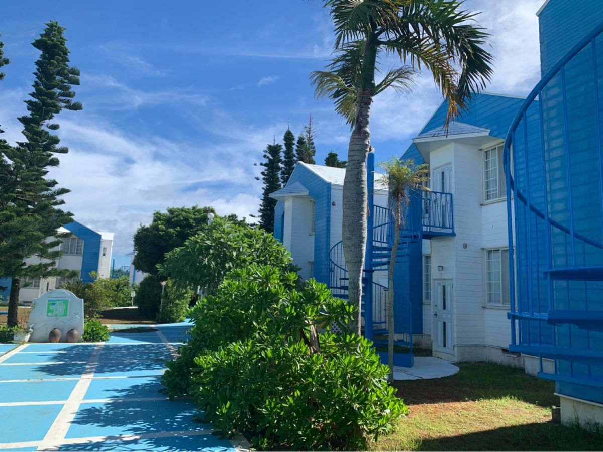 この旅でお世話になったお宿🌴🌺
「プリシアリゾートヨロン」
外にはヤモリが...