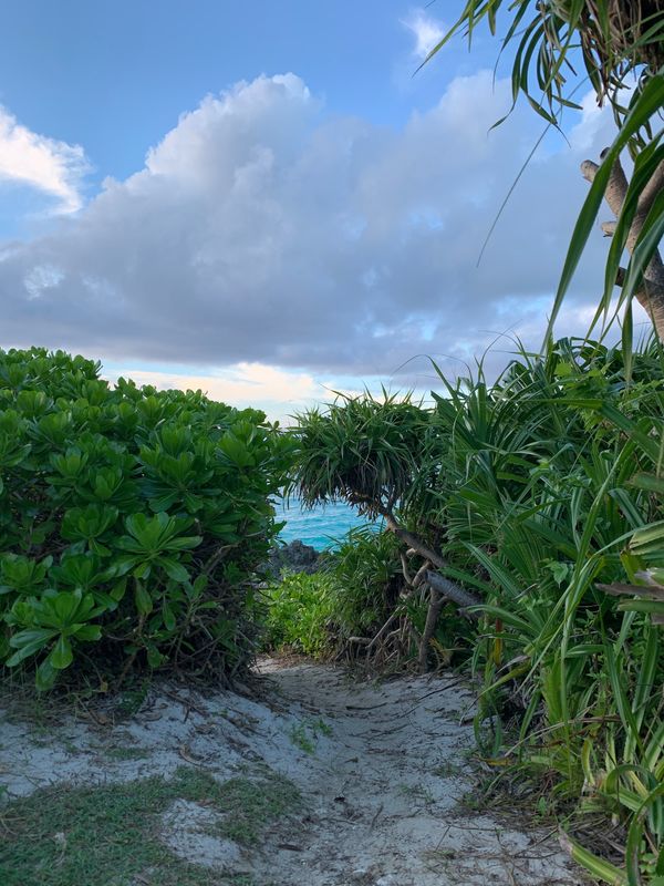 日本・与論島「与論島」の写真：綺麗な砂浜がいっぱい
地元の方との素敵な...