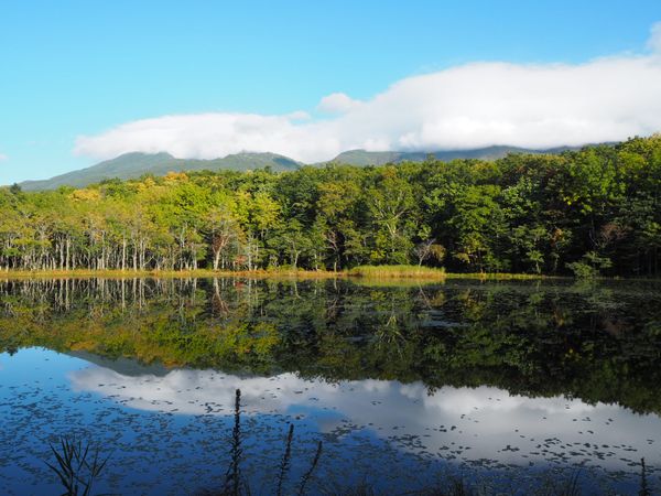 日本・北海道「知床・道東」の写真：「知床五湖」