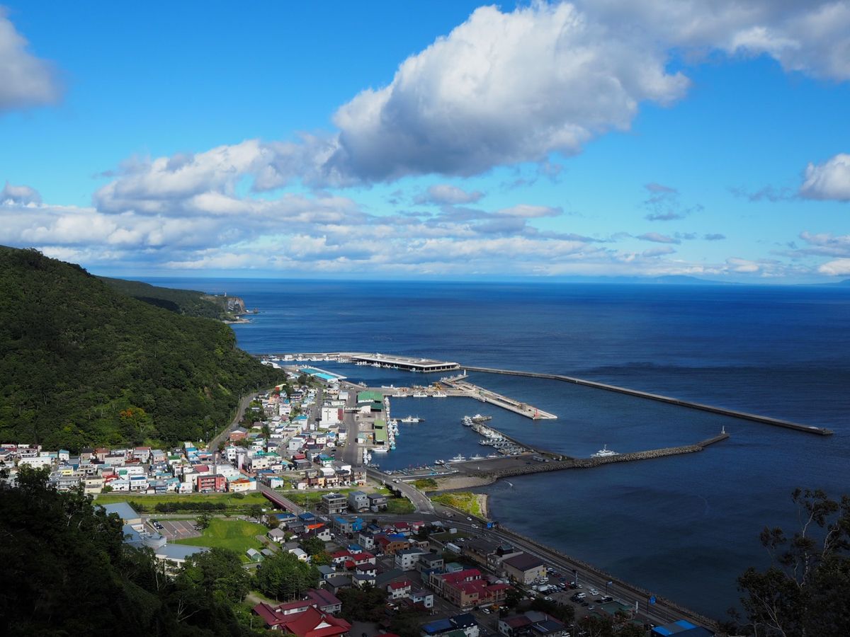 絶品三食丼と羅臼港🦀