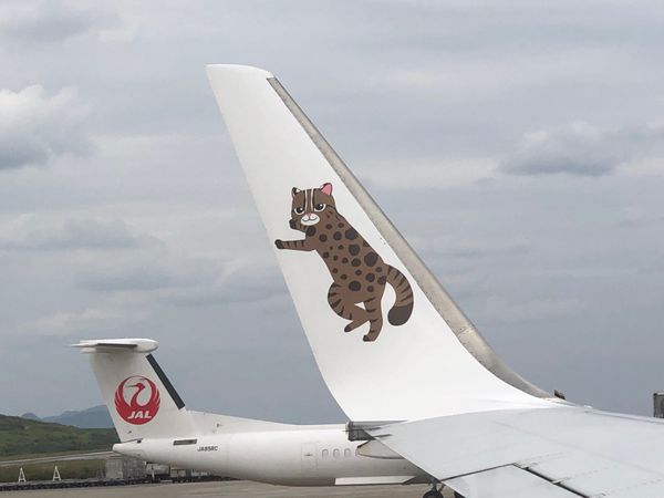 日本・沖縄県「石垣島〜西表島〜竹富島」の写真：石垣島