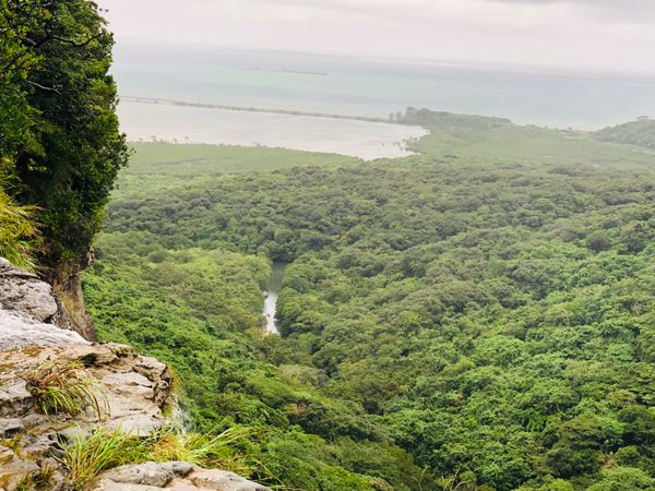 日本・沖縄県「石垣島〜西表島〜竹富島」の写真：西表島