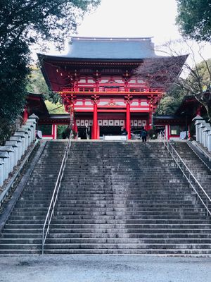 一足早く、お寺、神社詣り