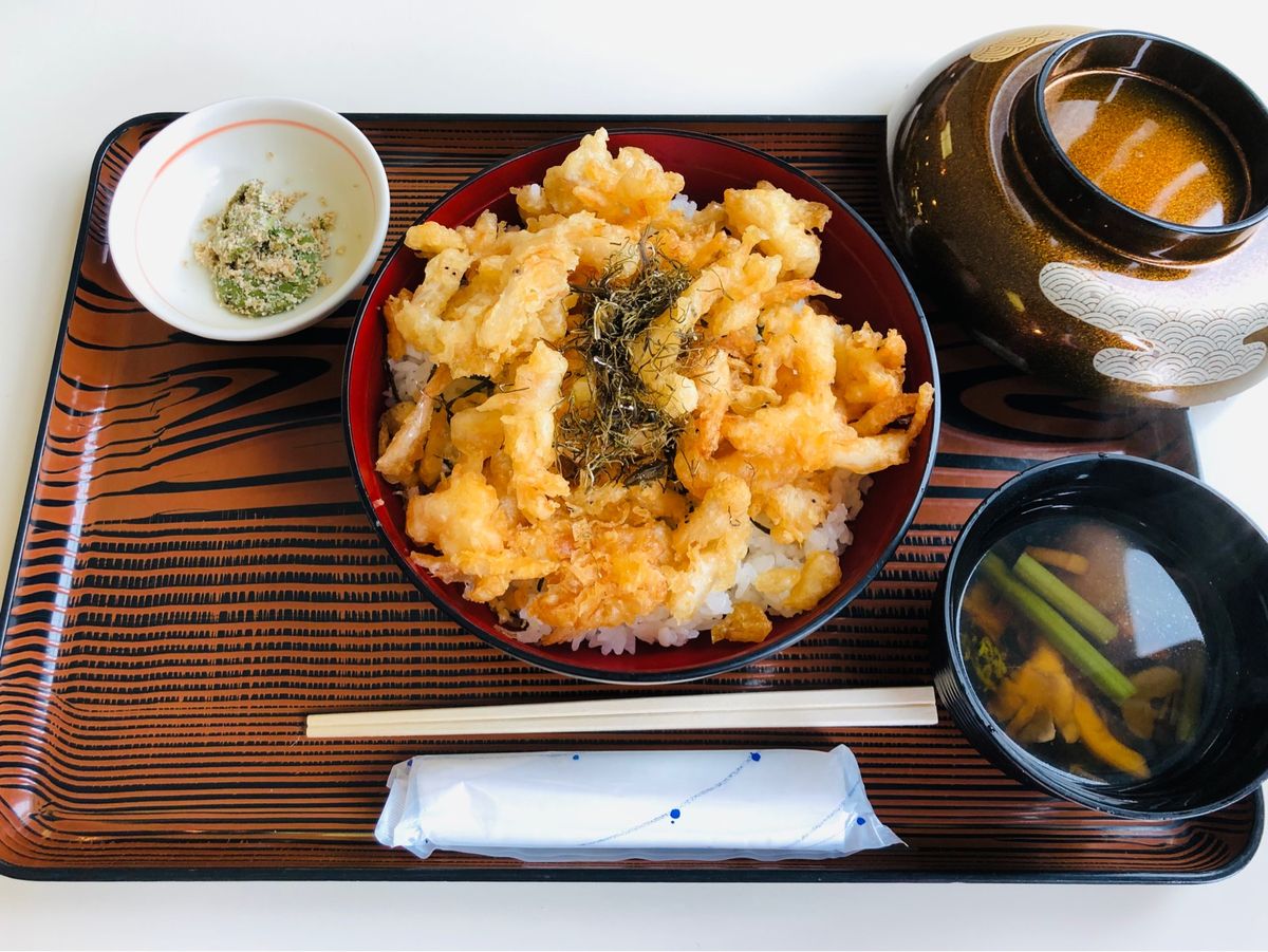 宿泊は、ホテル立山。
お昼は、ここの白エビかき揚げ丼。
夜は山岳ホテルだと...