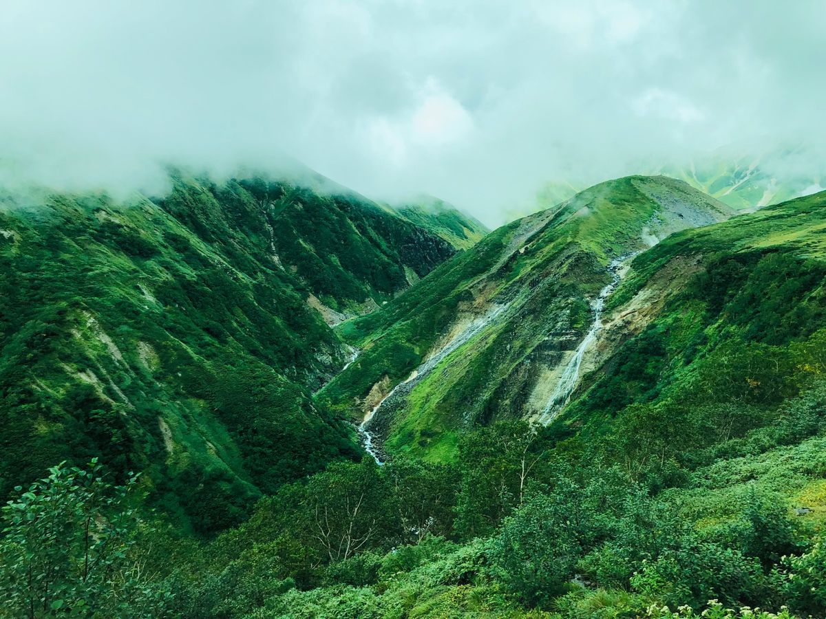 小雨で山らしいお天気。
晴れの日は少なかったそうで、ホテルの方は「立山らし...