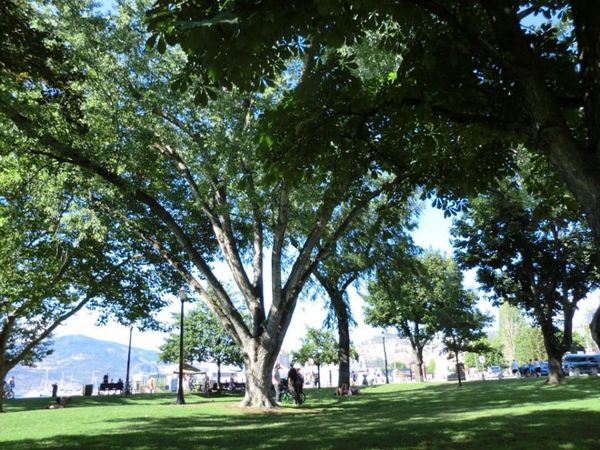 カナダ・バンクーバー「カナダ留学」の写真