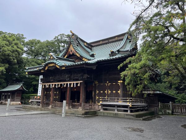 日本・熱海「静岡　熱海　三島」の写真：三島市　
三島大社
●三島大社　本殿
●...