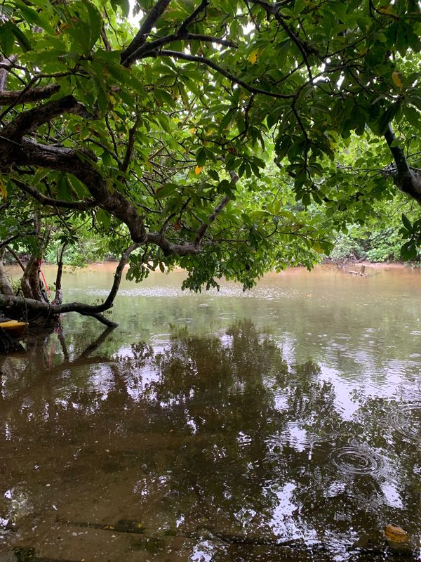 日本・石垣島「沖縄家族旅行」の写真