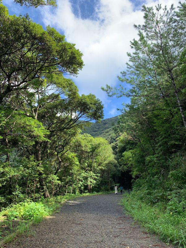 日本・奄美大島「奄美大島2泊3日　晴れ晴れ晴れの夏日🌈」の写真：奄美大島の滝も大好き💕
フナンギョの滝、...