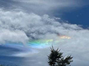 にわか雨から晴れに天気が移り変わる。
そして、突然出てきた彩雲は鮮やかで大...