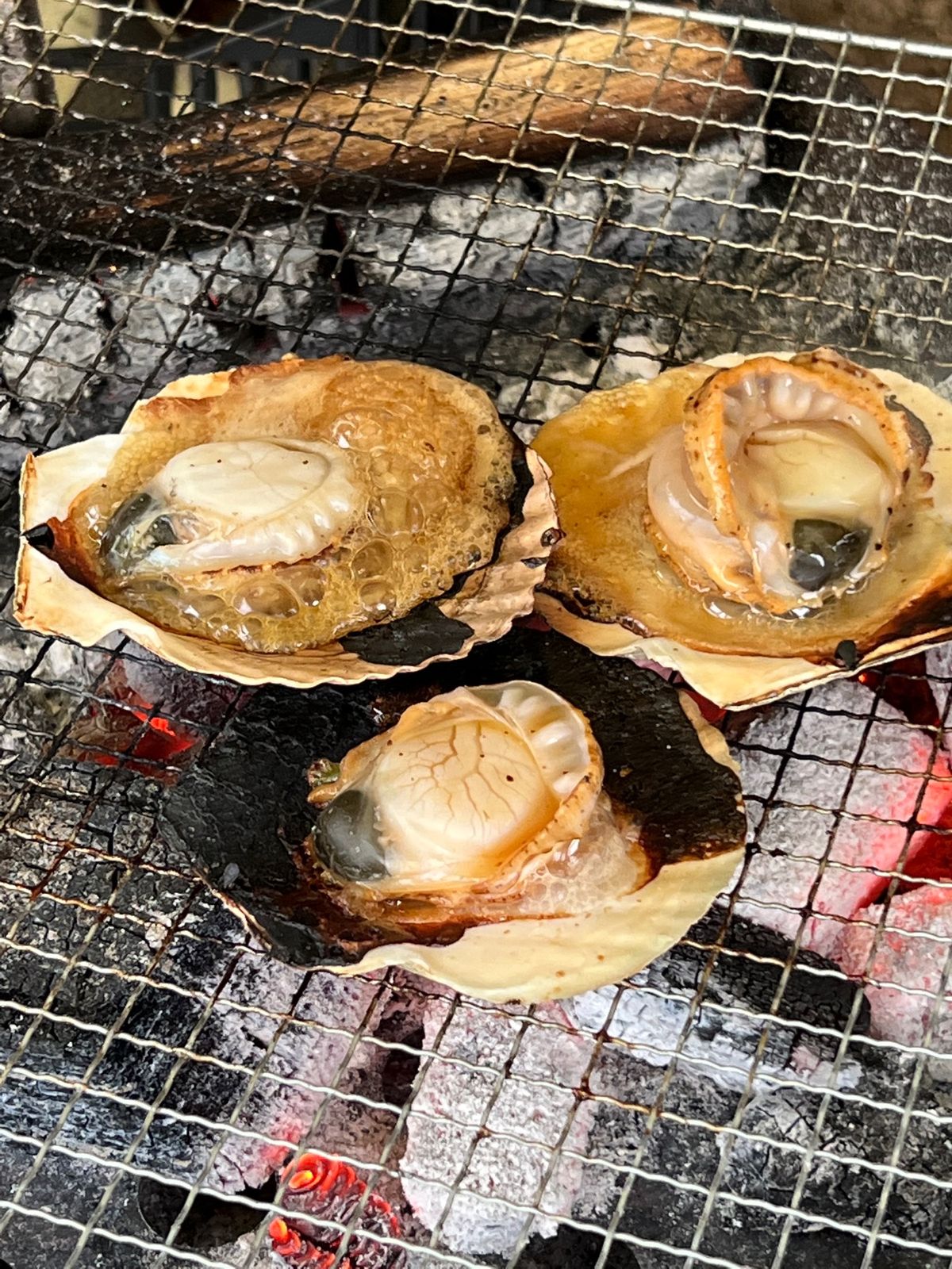 朝も少し焚き火をし、昨夜の残りの肉と、焼き忘れていたホタテを焼き終了！

...