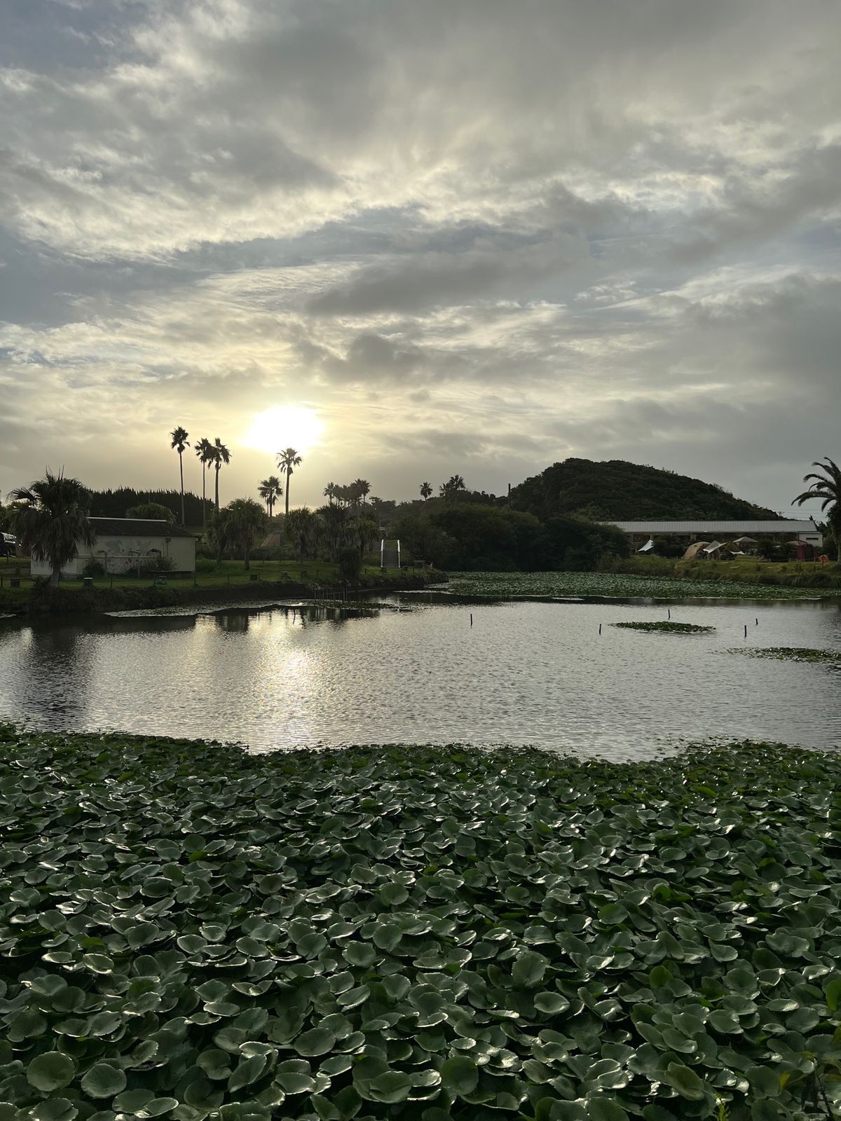 朝も少し焚き火をし、昨夜の残りの肉と、焼き忘れていたホタテを焼き終了！

...