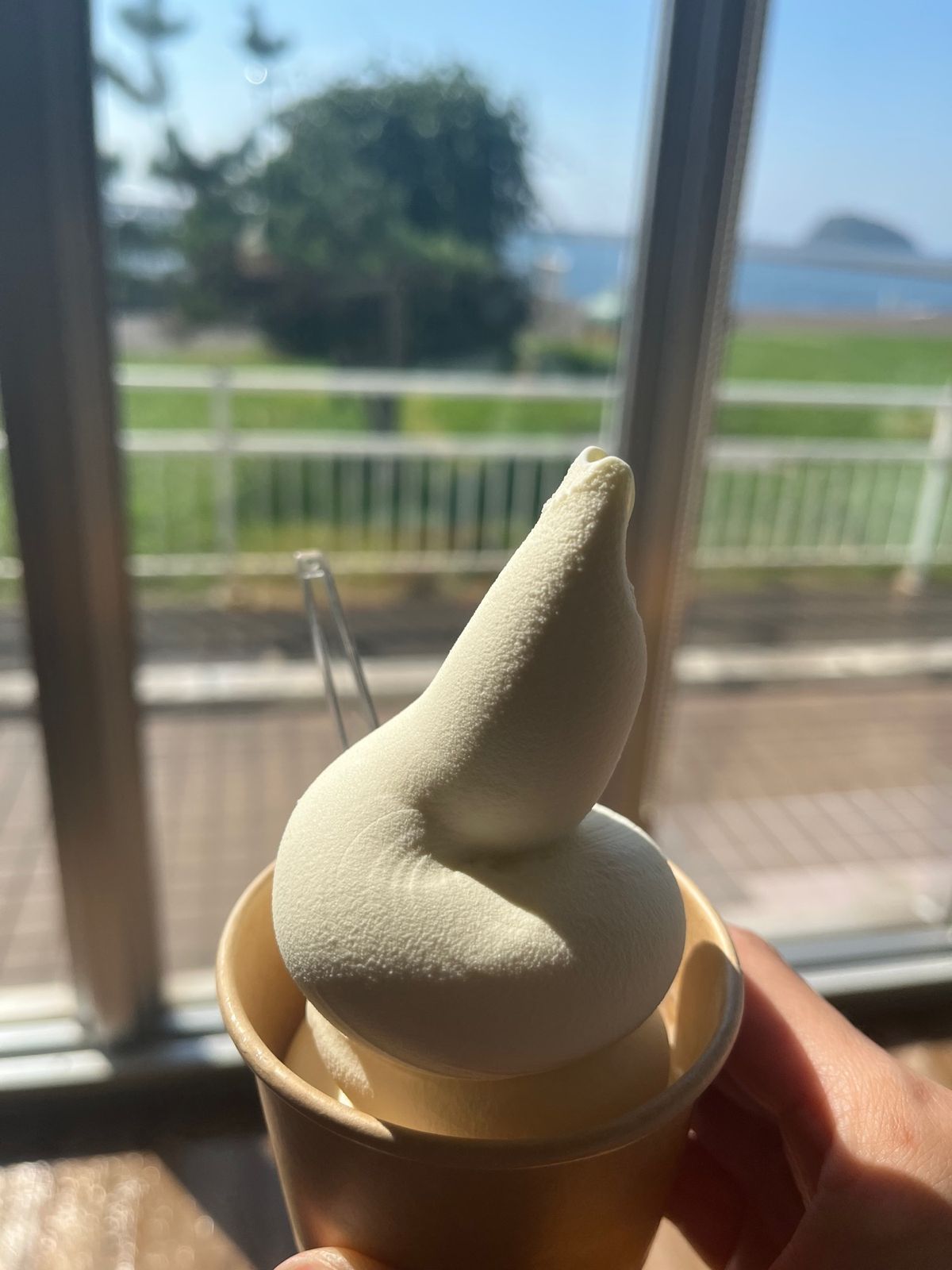 室蘭名物のカレーラーメン🍜
初めて食べたけど、これハマった😆
うずらんソフ...