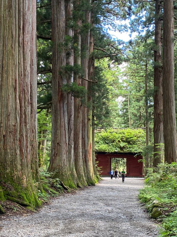 日本・長野県「長野　2022.09」の写真