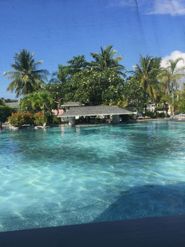 フィリピン・セブ島「ジンベエザメとスイミング」の写真