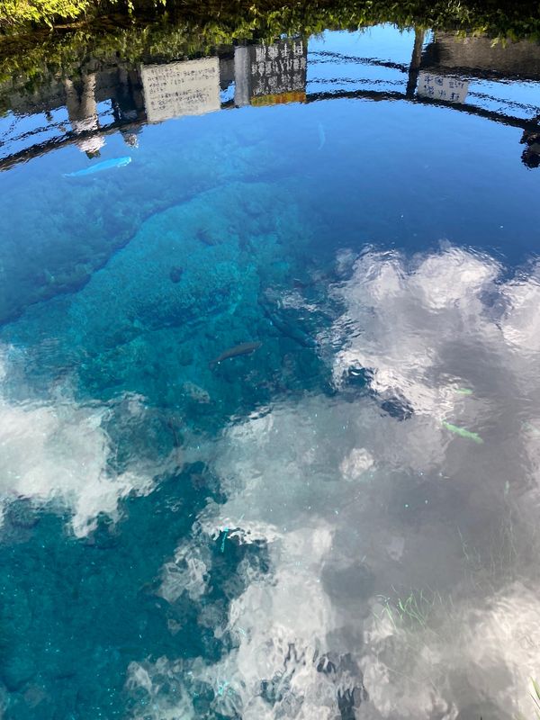 日本・山梨県「忍野八海」の写真