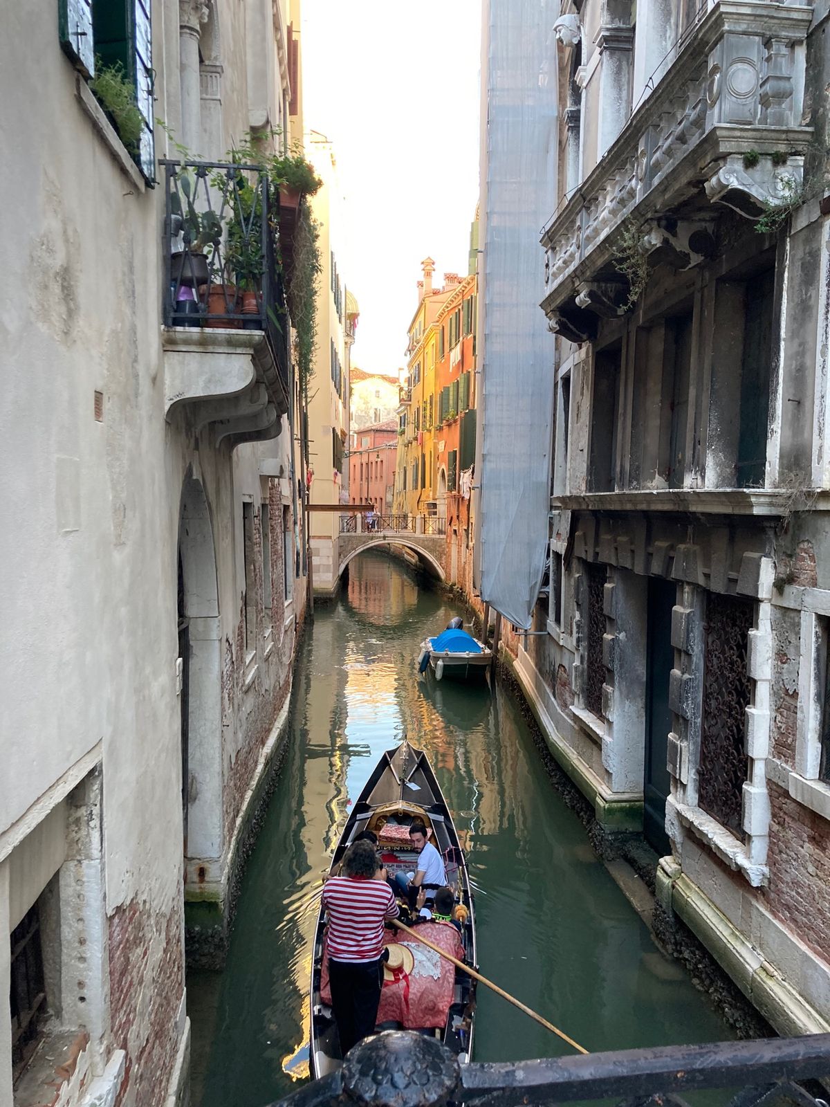 venezia