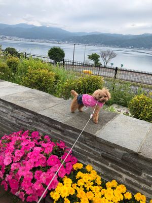 初めてのグランピングは、荷物やテント設置なしで気軽にキャンプ気分を味わまし...