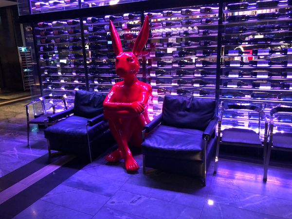 オーストラリア連邦・シドニー「カンタスのジャンボでシドニー遠征」の写真：宿泊先は、空港周辺のマスカット、Pull...