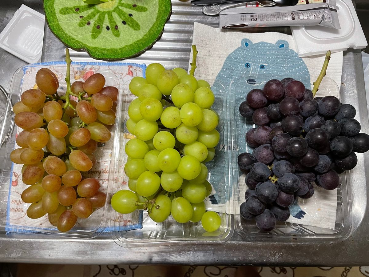 山口観光フルーツ農園
自宅でケーキ作り