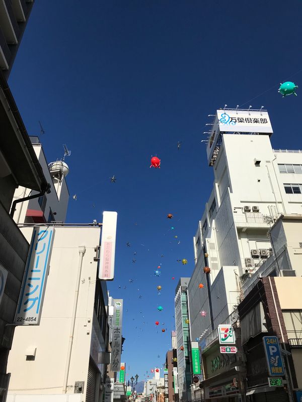 日本・神奈川県「仲良し旅」の写真
