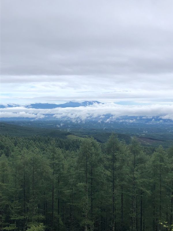 日本・軽井沢「高原の旅」の写真