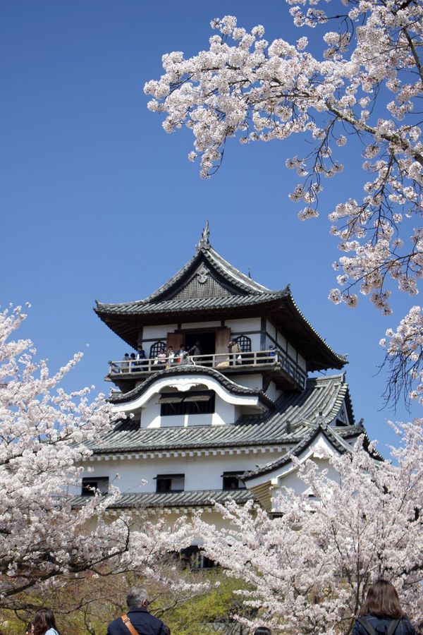 日本・愛知県「一人旅 犬山城 東山動物園」の写真：犬山城
東山動物園