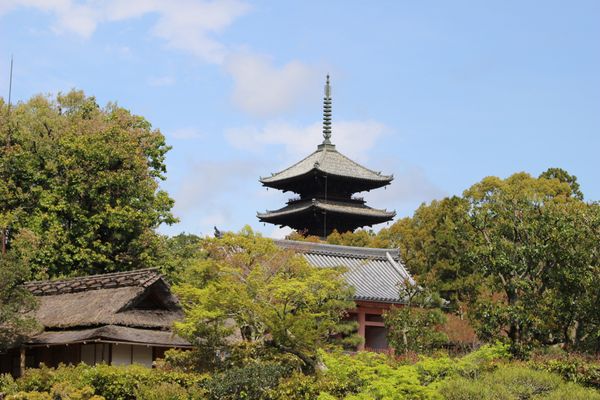 日本・京都「一人旅 京都」の写真：天龍寺
嵐山
仁和寺
大覚寺
東寺