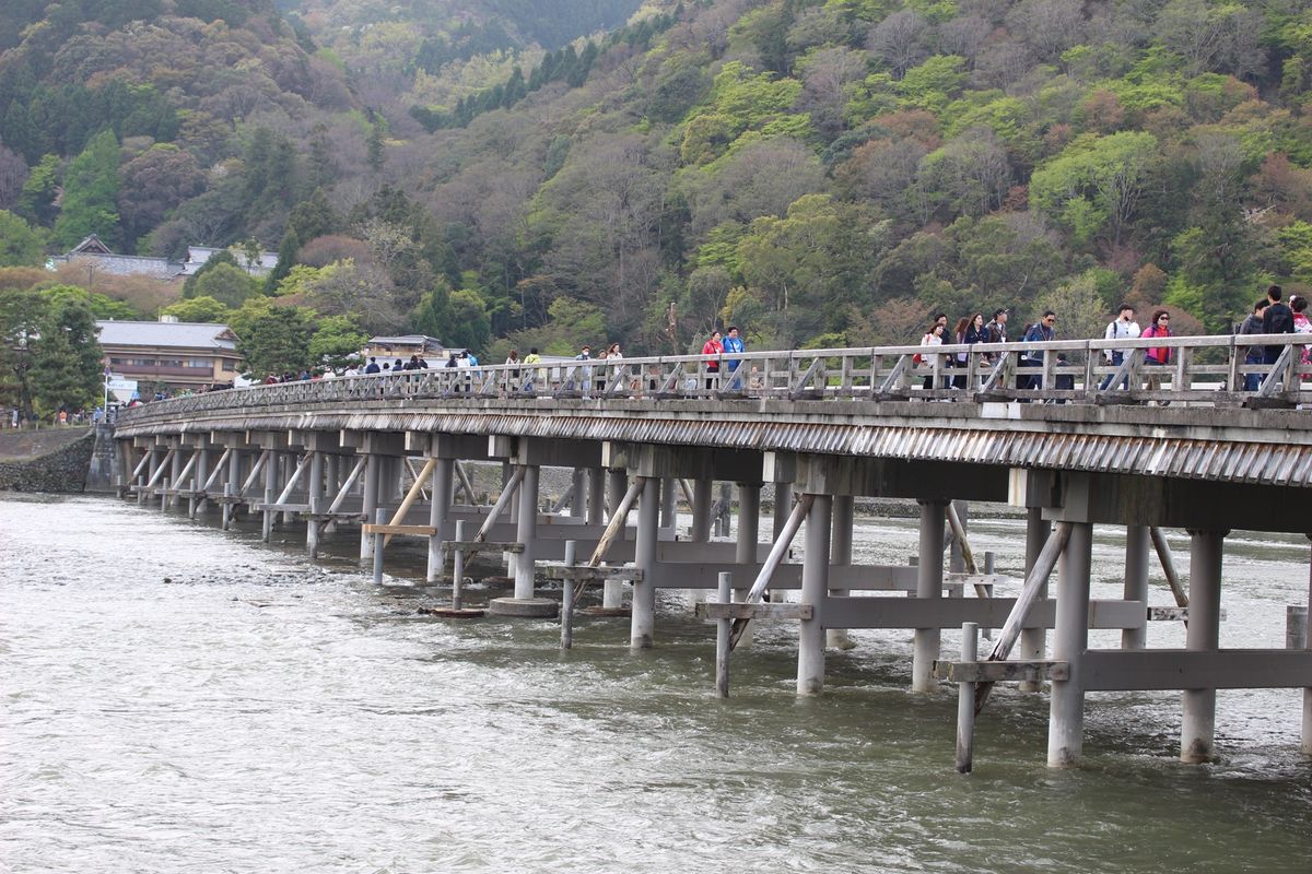 天龍寺
嵐山
仁和寺
大覚寺
東寺