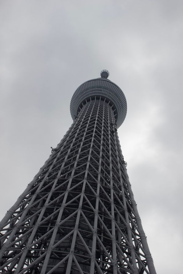 日本・東京「東京」の写真：スカイツリー
銀座
コード・ブルー