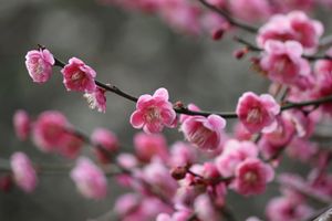 熱海