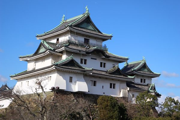 日本・和歌山県「一人旅 和歌山」の写真：和歌山城
紀三井寺
ポルトヨーロッパ