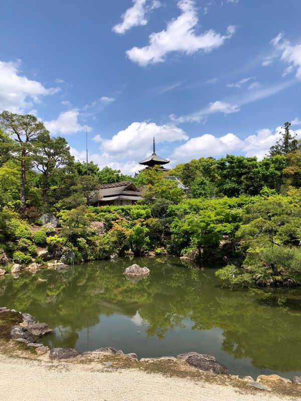 日本・京都府「京都の旅」の写真
