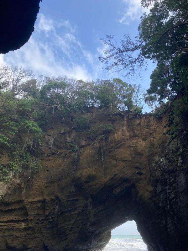 日本・静岡県「自然がつくる芸術✨」の写真