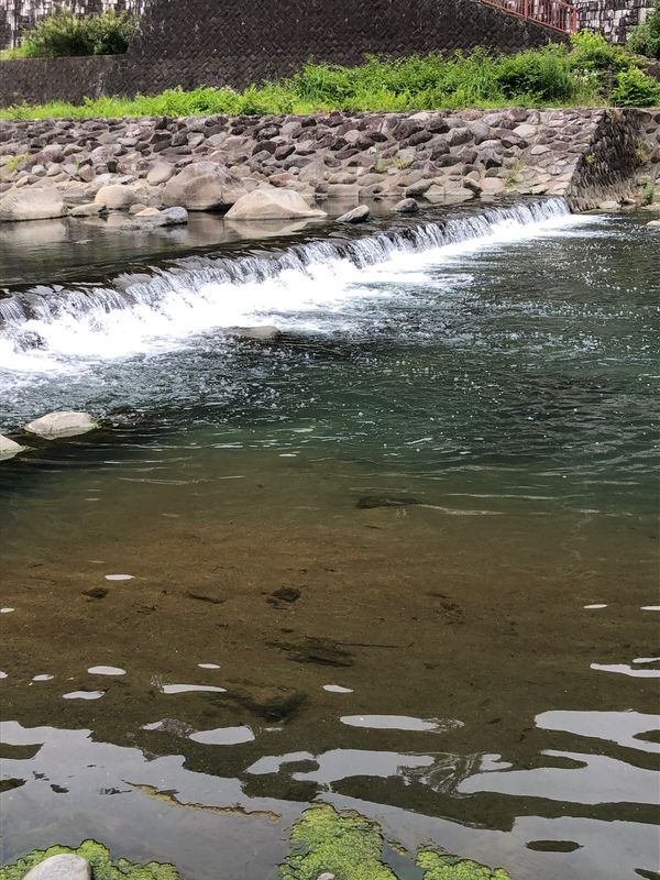 日本・箱根「箱根の旅」の写真