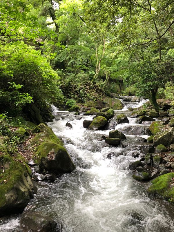 日本・神奈川県「湯河原の旅」の写真