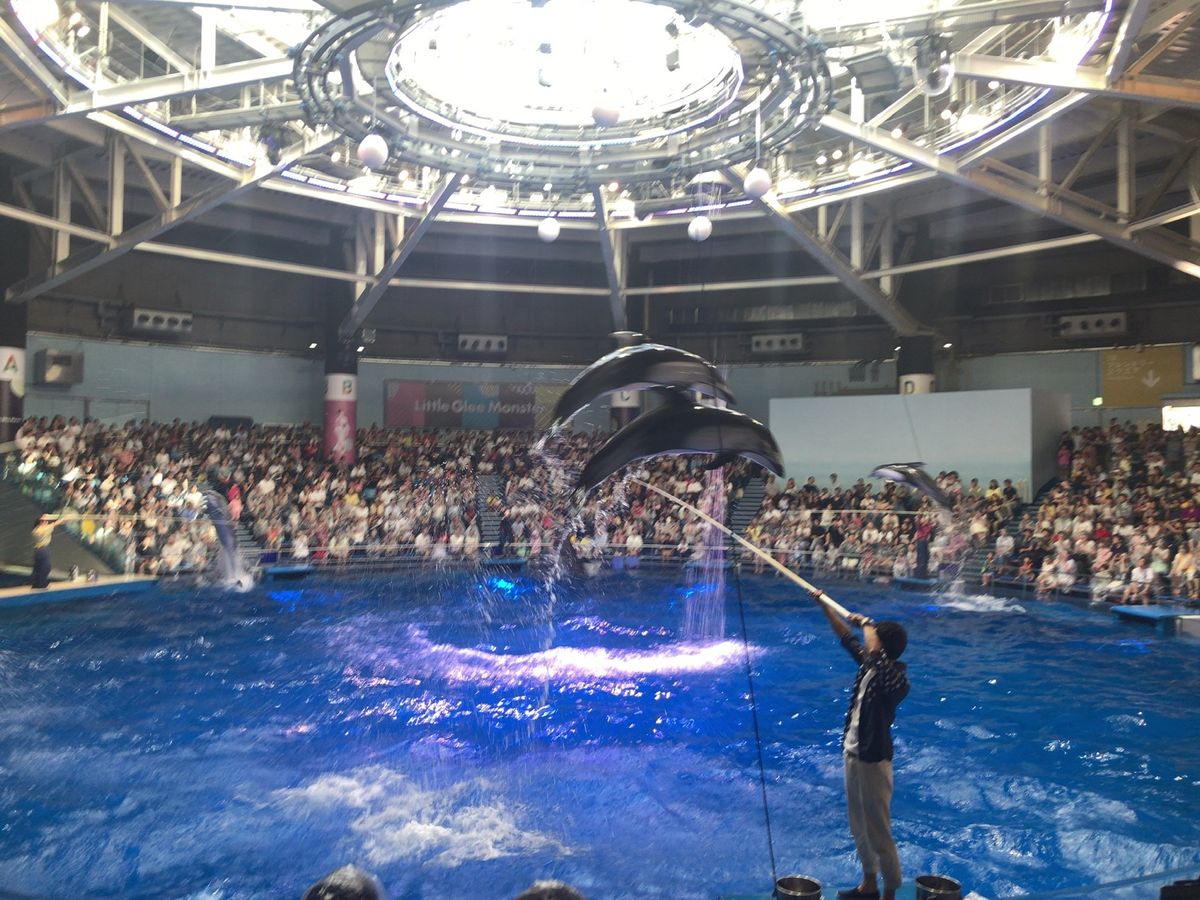 品川のアクアパーク