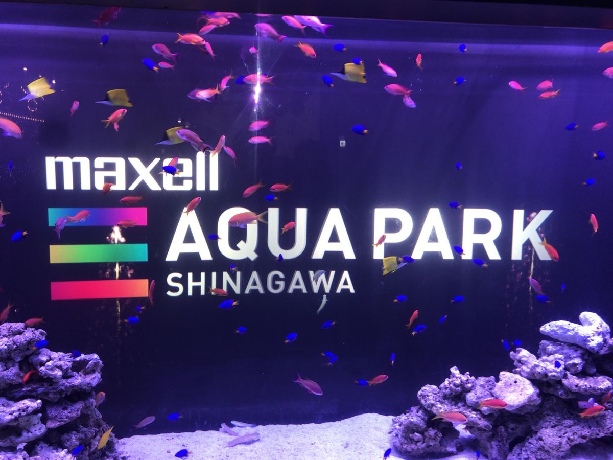 品川のアクアパーク