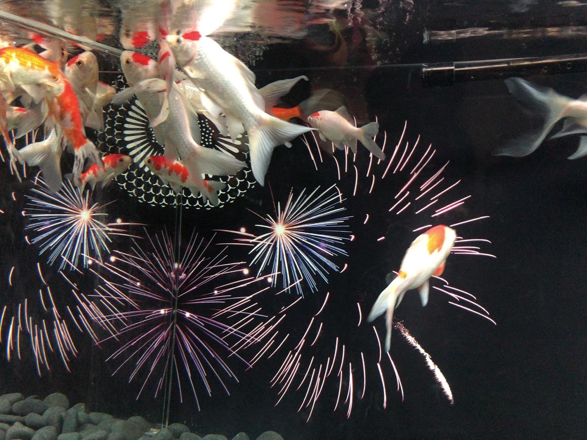 品川のアクアパーク