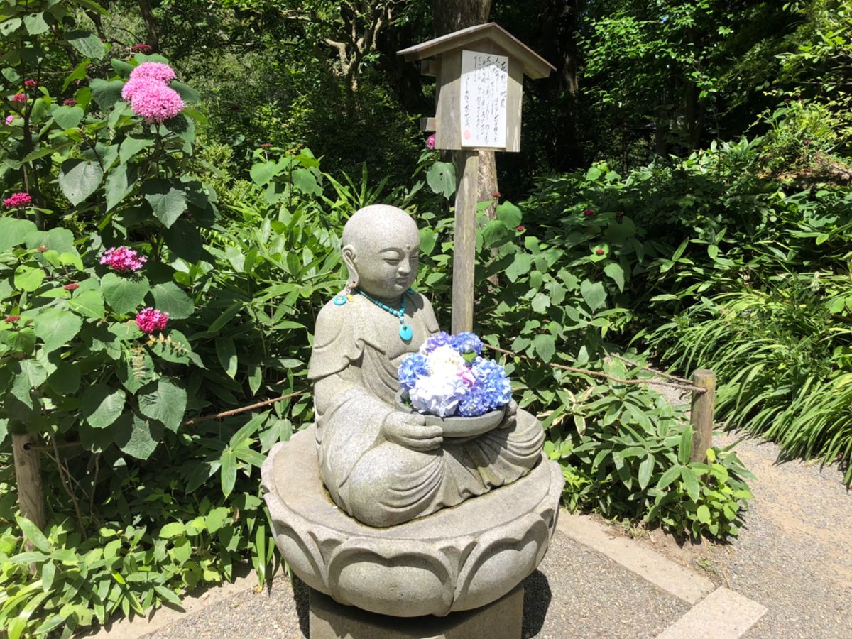 紫陽花で有名な明月院。