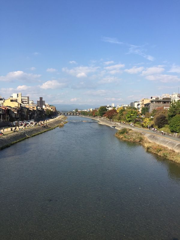 日本・京都府「京都の旅」の写真