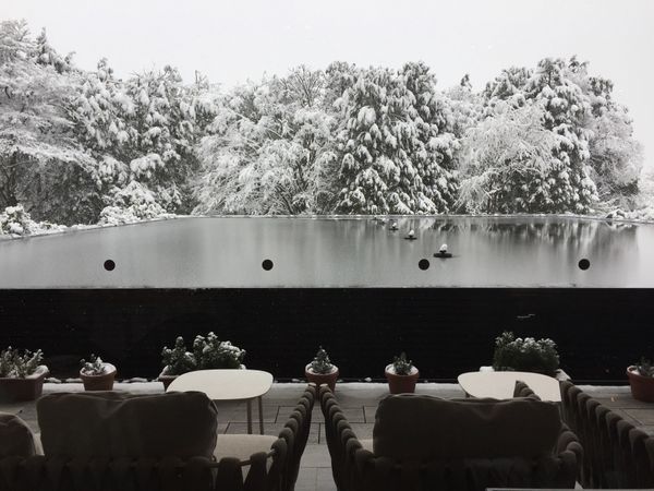 日本・神奈川県「箱根の旅」の写真