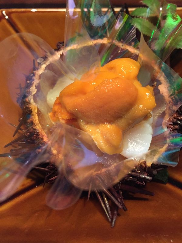 日本・箱根「箱根の旅」の写真