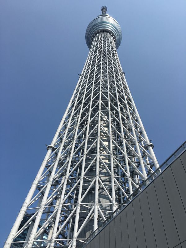 日本・東京「東京」の写真